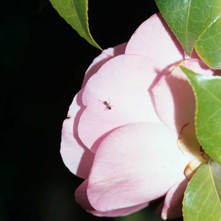 VARIOUS OTHERS – Contemporary Art Munich - Startseite