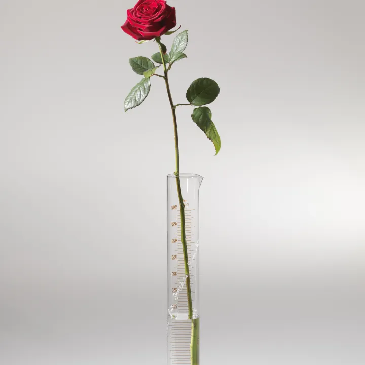 VARIOUS OTHERS – Contemporary Art Munich - Startseite