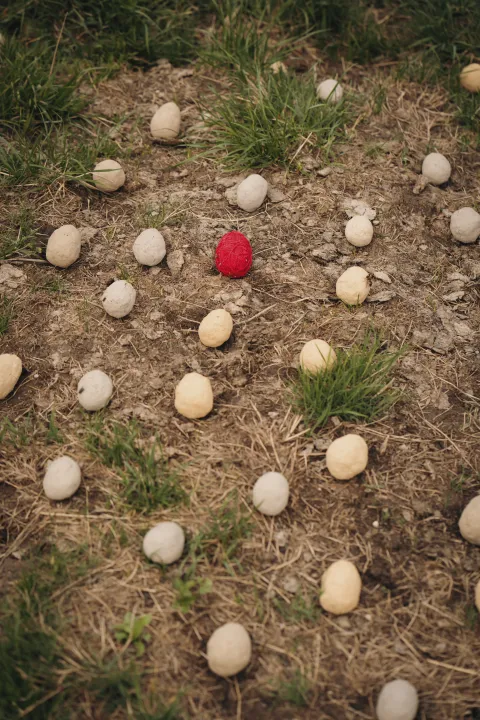 VARIOUS OTHERS – Contemporary Art Munich - Magdalena Jooss