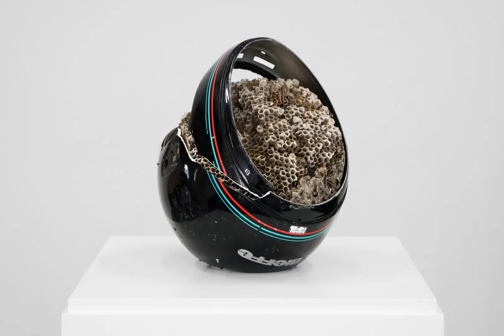 VARIOUS OTHERS – Contemporary Art Munich - ArtWalk2023_1